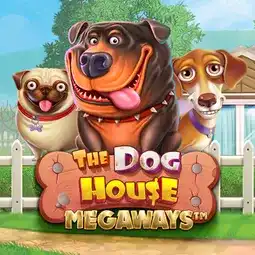 The Dog House Megaways gra w 1win Casino dla graczy z Polski