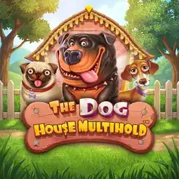 The Dog House Multihold gra w 1win Casino dla graczy z Polski
